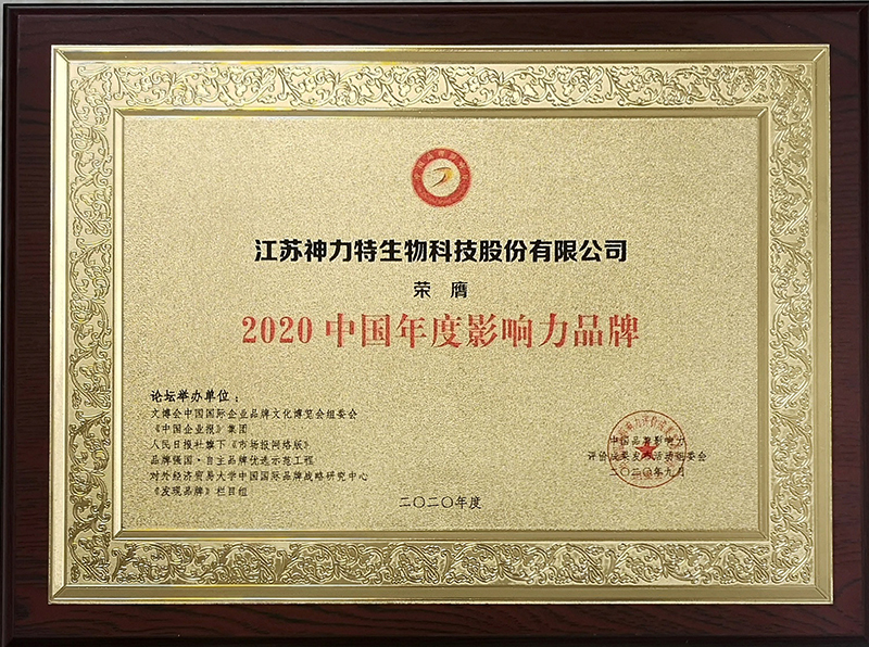 6、2020中國年度影響力品牌.jpg